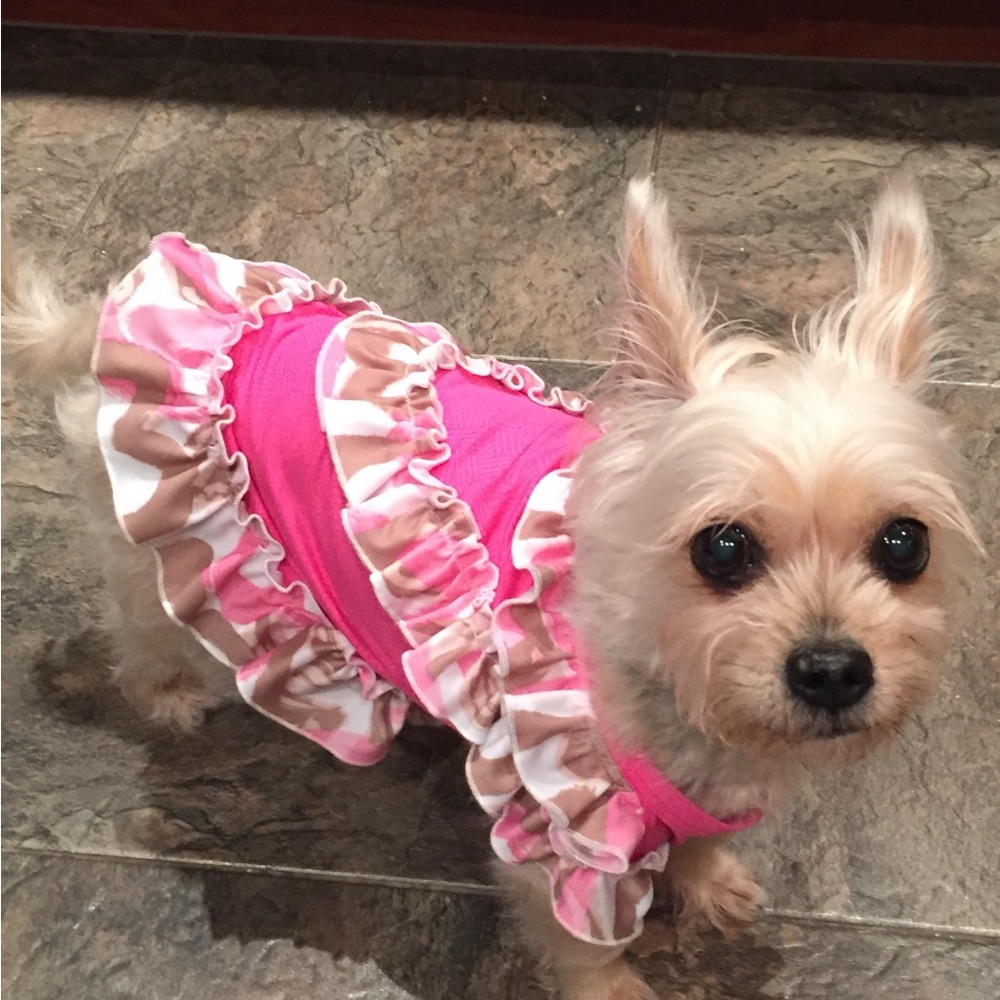 CUSTOM TAILORED PUPPY DRESSES NEW CONDITION!